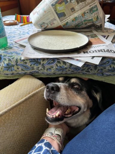 Where’d it go?!