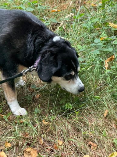 …sniff